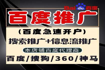 深度解析SEM推广代运营的成功案例及策略